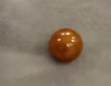 女子意外發(fā)現(xiàn)百萬價值龍珠，一次洗菜經(jīng)歷改寫命運篇章