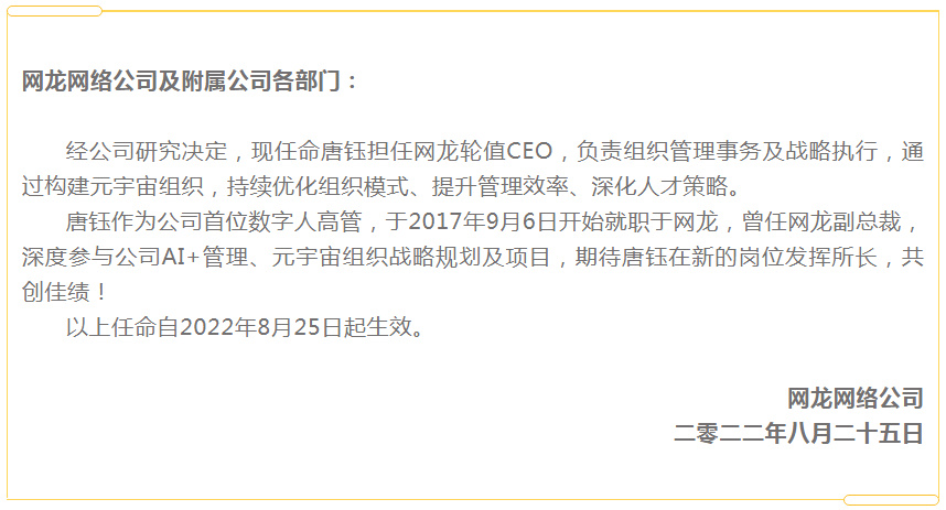 網(wǎng)龍裁員引發(fā)行業(yè)震動(dòng)，企業(yè)轉(zhuǎn)型與人力資源管理的挑戰(zhàn)審視