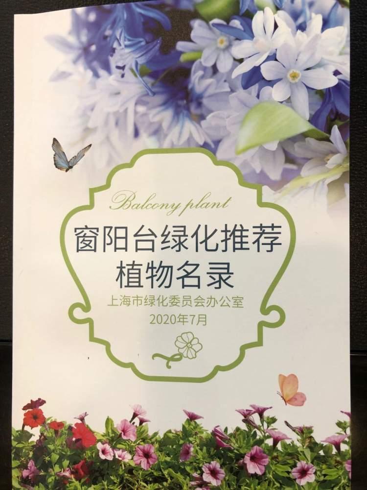 陽臺綠化，打造家庭清新小天地