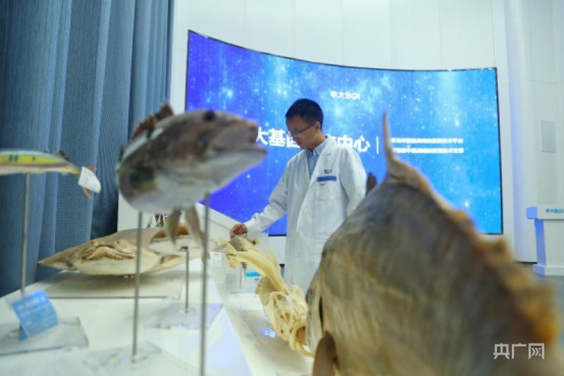 海洋生物基因庫(kù)建設(shè)加速，保護(hù)瀕危物種取得顯著成效
