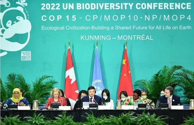 全球生物多樣性保護(hù)會(huì)議達(dá)成新共識(shí)，攜手守護(hù)地球生命網(wǎng)絡(luò)