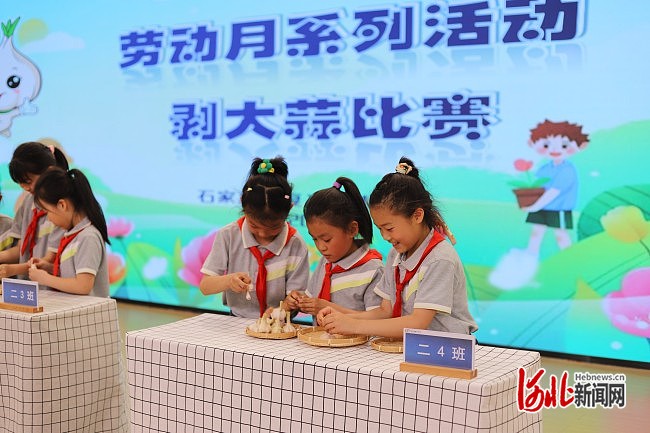 學(xué)生勞動教育課程推行與實(shí)踐能力提升的重要性