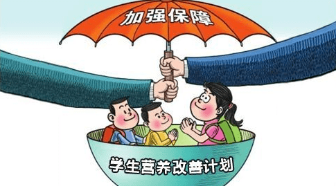 學(xué)校營養(yǎng)午餐計(jì)劃成效顯著，學(xué)生健康狀況顯著改善