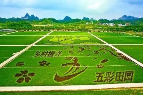 鄉(xiāng)村田園綜合體建設(shè)加速，生態(tài)農(nóng)業(yè)與旅游融合，打造新時代田園詩意棲居地