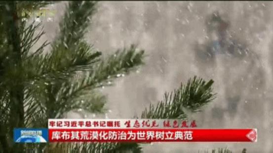 無人機(jī)植樹計(jì)劃啟動(dòng)，荒漠化治理邁入新篇章