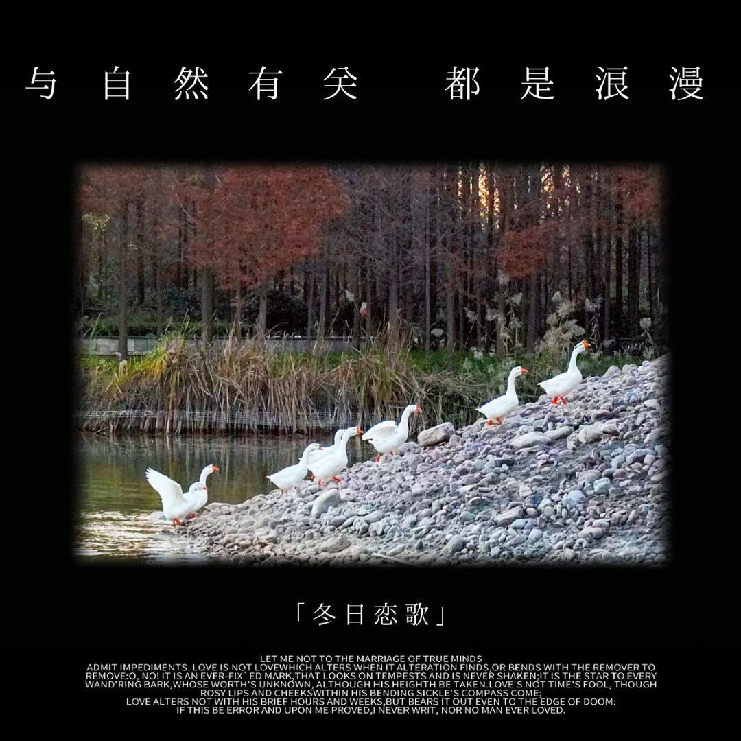 自然與人文的交融，藝術(shù)中的和諧共處與表現(xiàn)