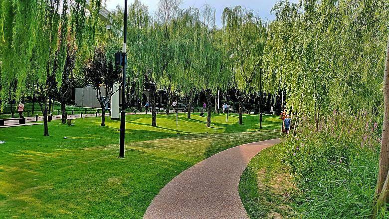 城市公園，生態(tài)與人文的融合，自然與文化的和諧交響