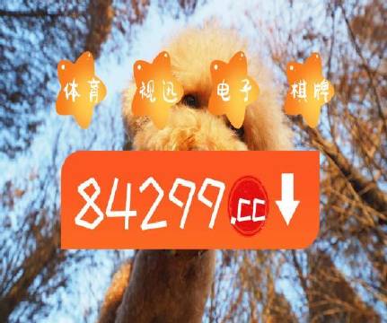 澳門天天開好彩正版掛牌,高效計劃設計_Holo69.304