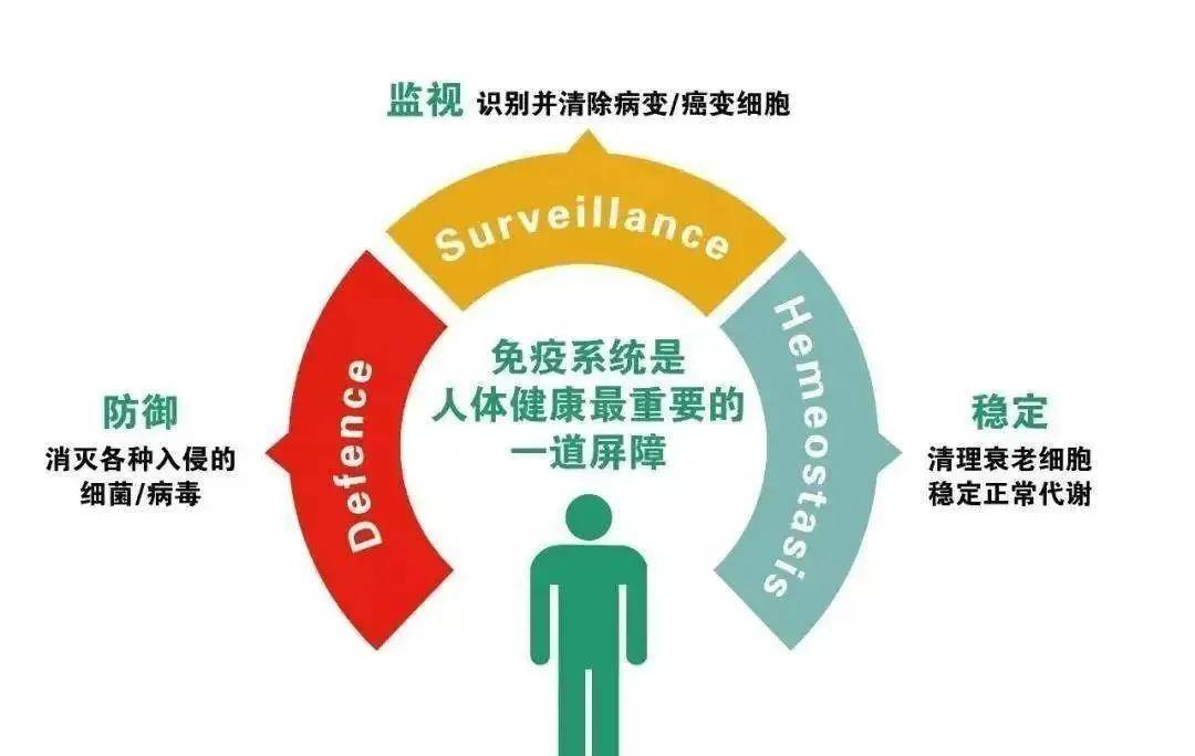 自然食品，守護免疫健康的守護者