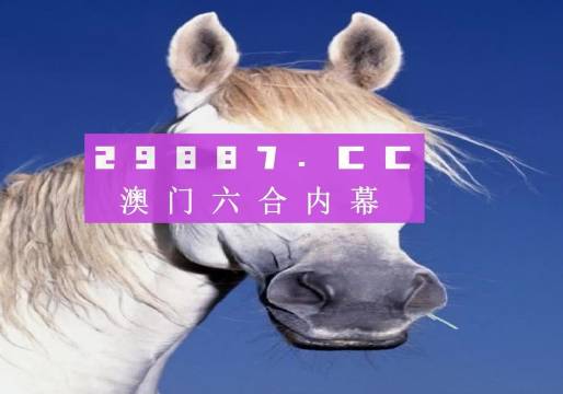 澳門4949開獎結(jié)果最快,專業(yè)評估解析_VR35.956