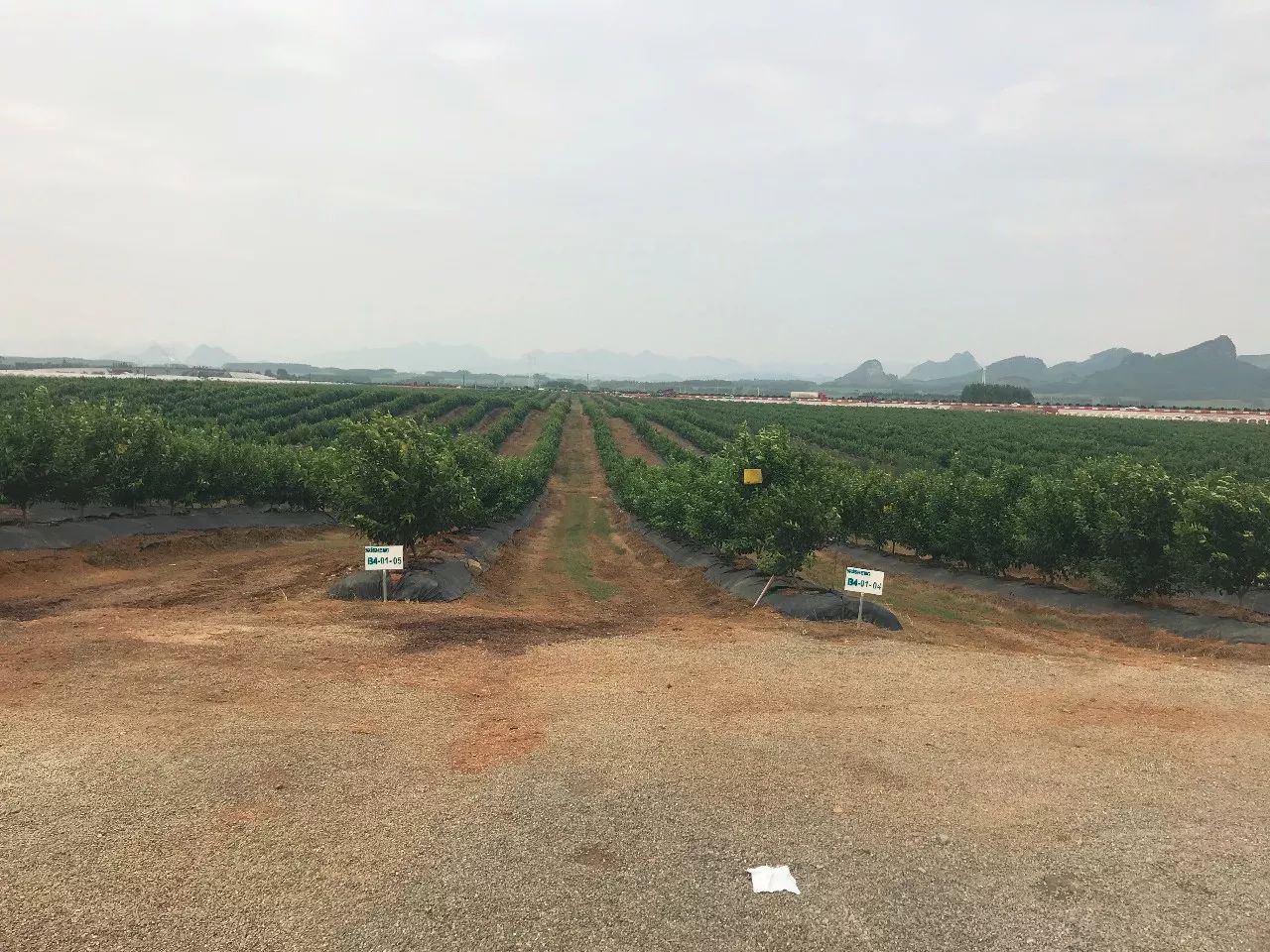 2024新奧門管家婆資料查詢,實(shí)時(shí)數(shù)據(jù)解釋定義_桌面款37.704