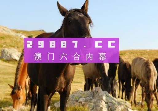 雨中漫步