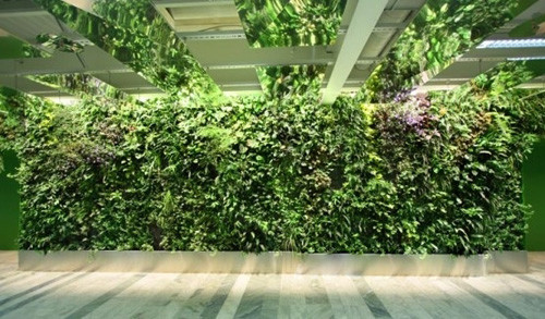 室內(nèi)垂直綠化空間的打造，植被框架方法探究