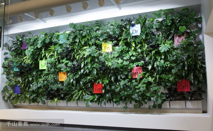 墻面植物種植系統(tǒng)，室內(nèi)綠化的生態(tài)應用