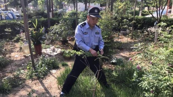 無(wú)人機(jī)在農(nóng)業(yè)中應(yīng)用，提升種植效率與精準(zhǔn)度的關(guān)鍵策略