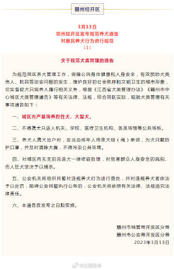 贛州公園犬只傷人事件通報，責任追究與防范措施的反思
