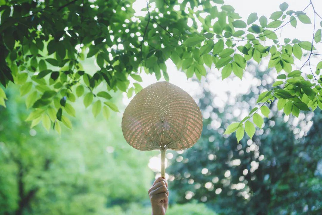 熱浪后的清涼之風(fēng)，愜意瞬間來臨