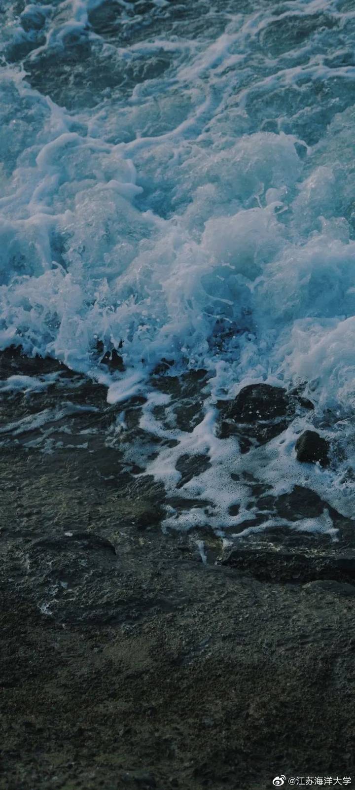 海風(fēng)吹拂，深海魅力的獨特氣息