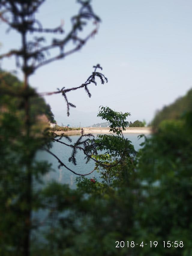 青山綠水間的自然樂章，鳥鳴回蕩耳畔