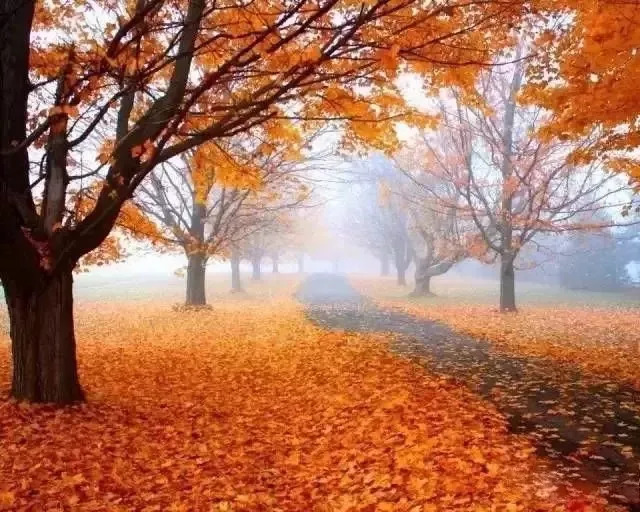 紅塵如夢 第8頁