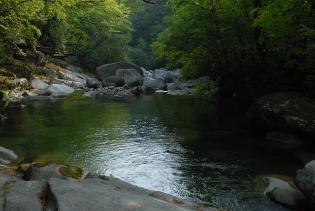 山溪詩意畫卷，潺潺流淌與鏡面水景
