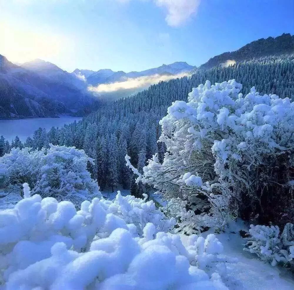遠(yuǎn)山雪輝，陽光下的絢麗畫卷
