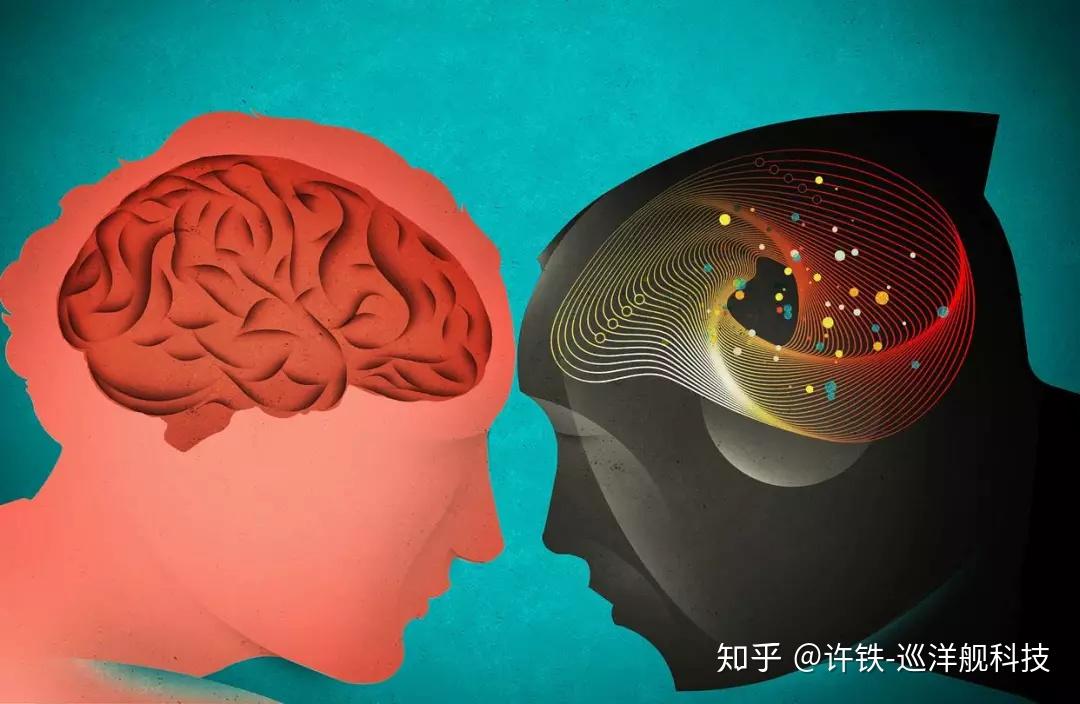腦科學(xué)進展對改善人類認知和記憶的影響研究