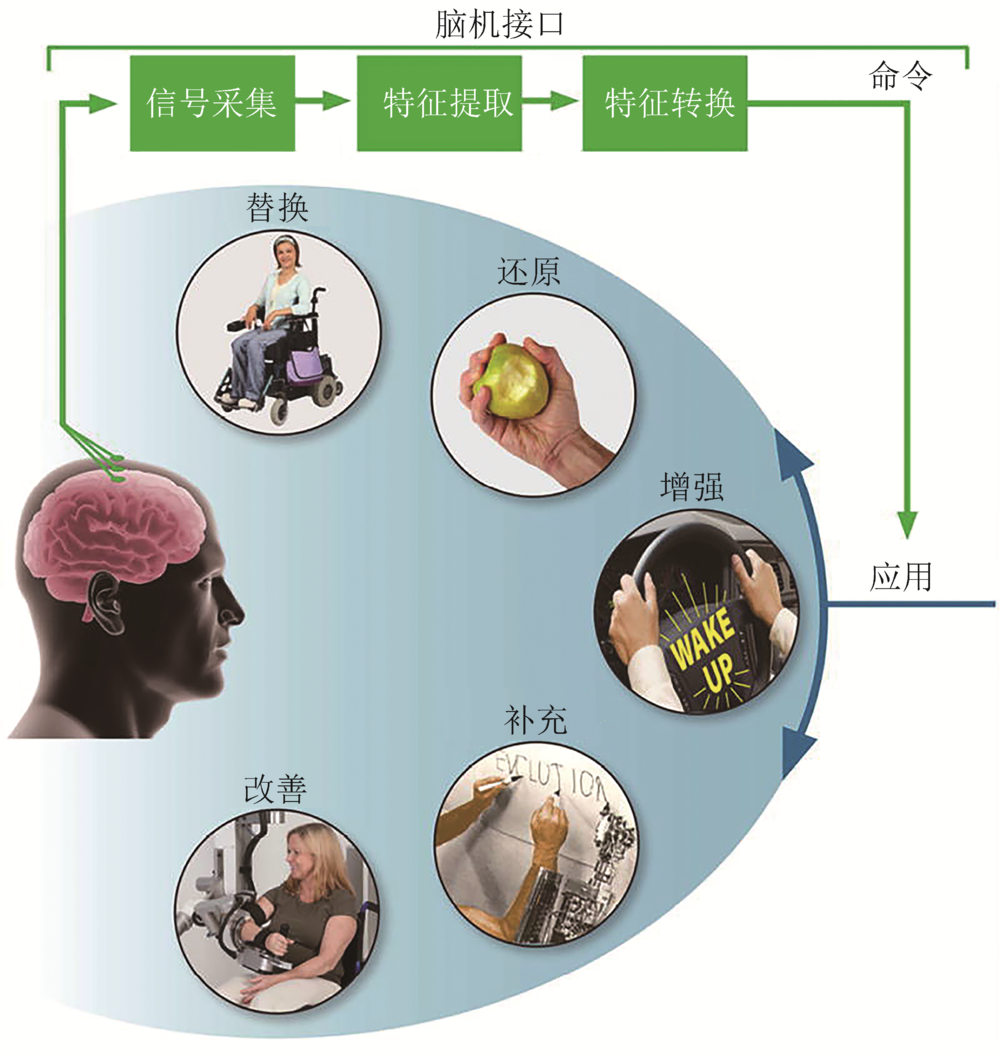 腦機(jī)接口技術(shù)，突破生理界限的新紀(jì)元