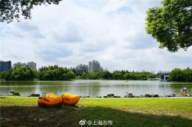 城市公園設(shè)計，自然景觀與文化元素的完美融合