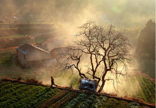 鄉(xiāng)村攝影，田園風(fēng)光與人文情感的交織