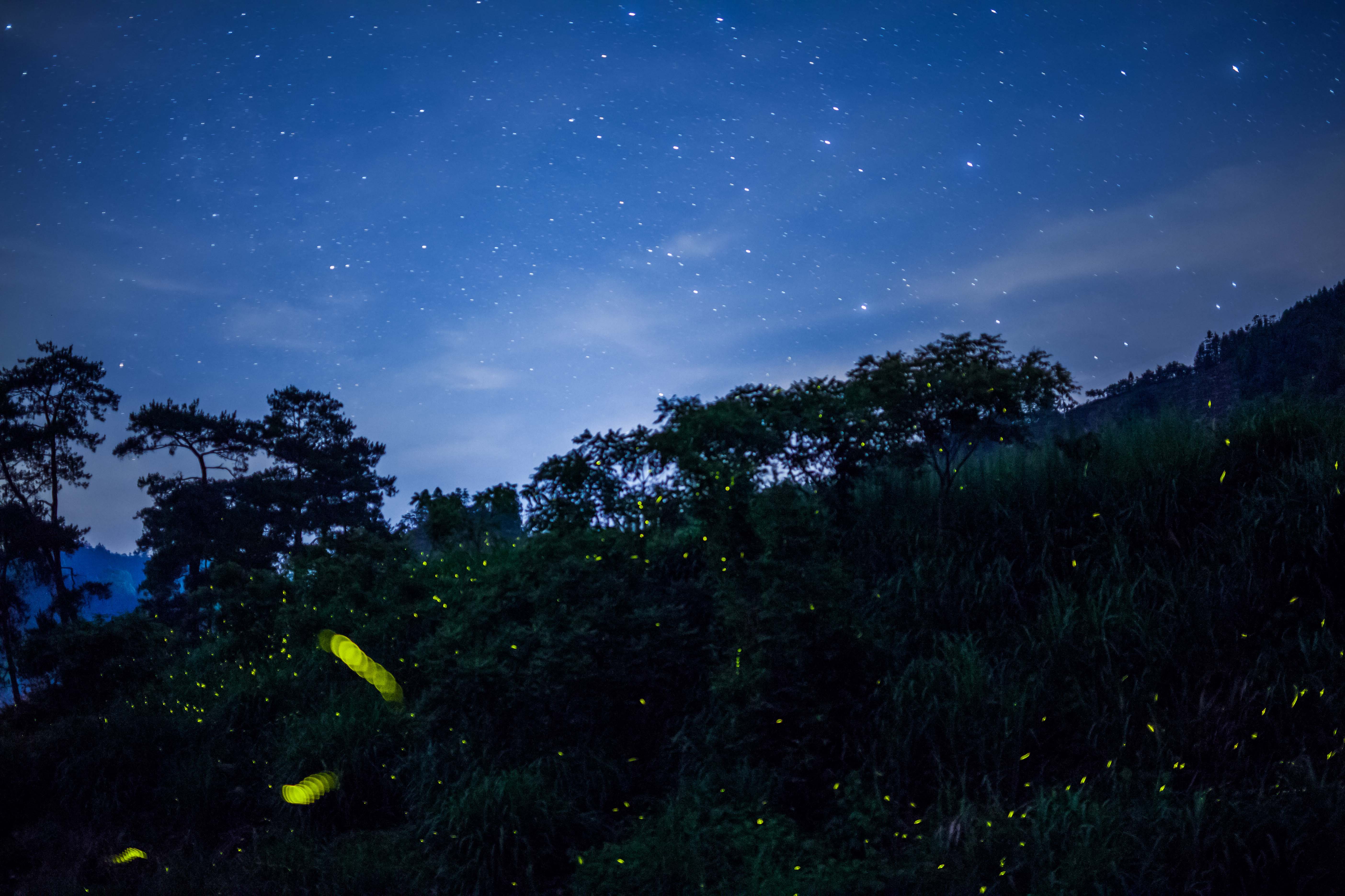 夜晚涼風(fēng)，遠方山林的靜謐與涼意