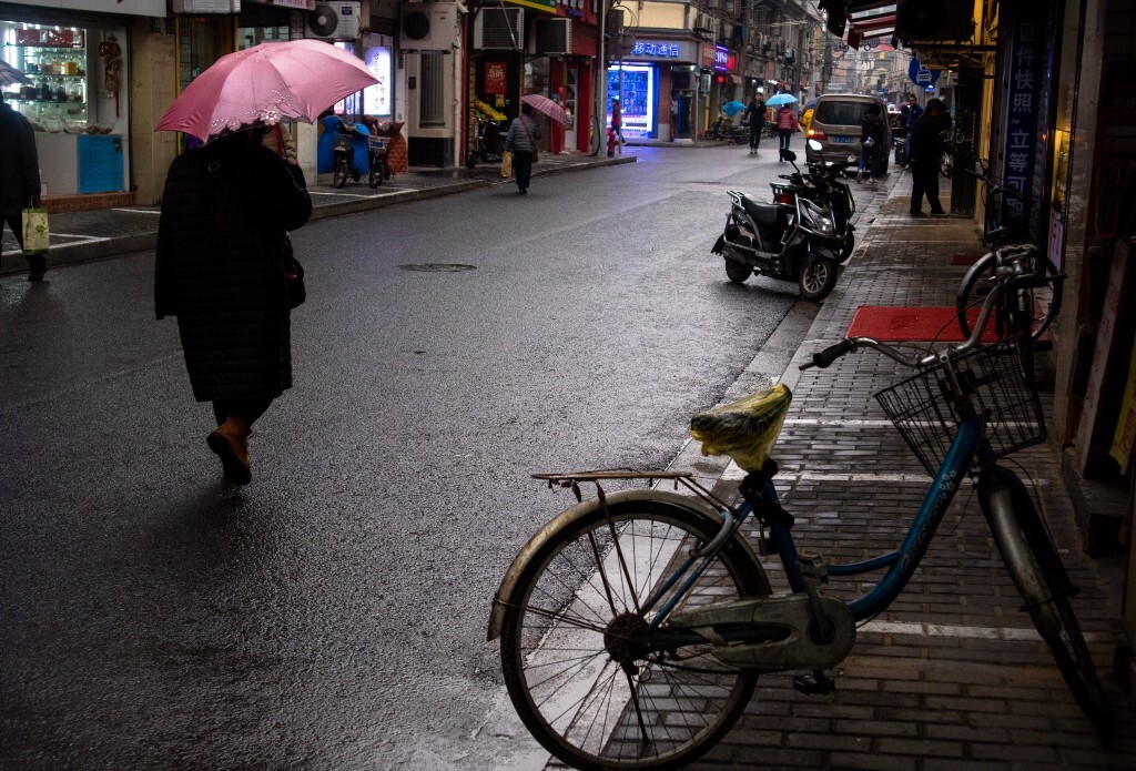 雨幕下的寧靜街道，新鮮氣息彌漫的祥和景象