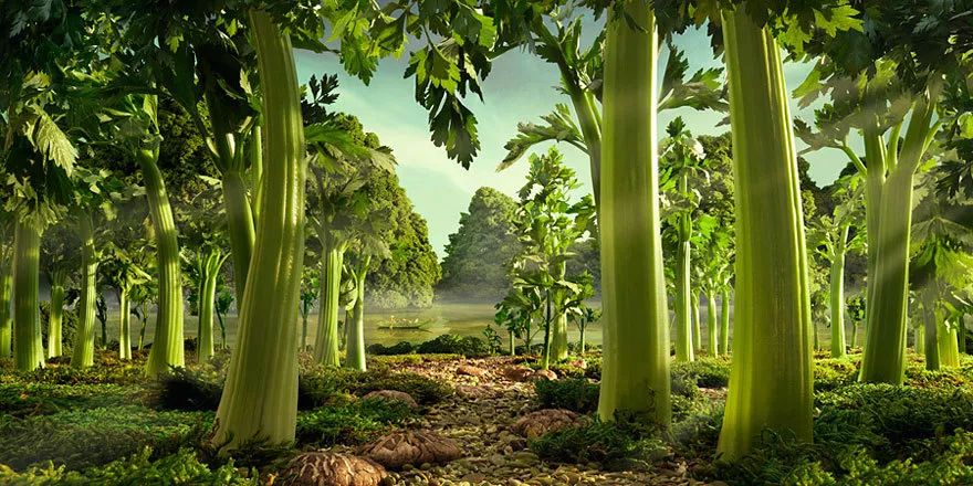 木本植物在城市綠化中的貢獻(xiàn)、挑戰(zhàn)與前景分析