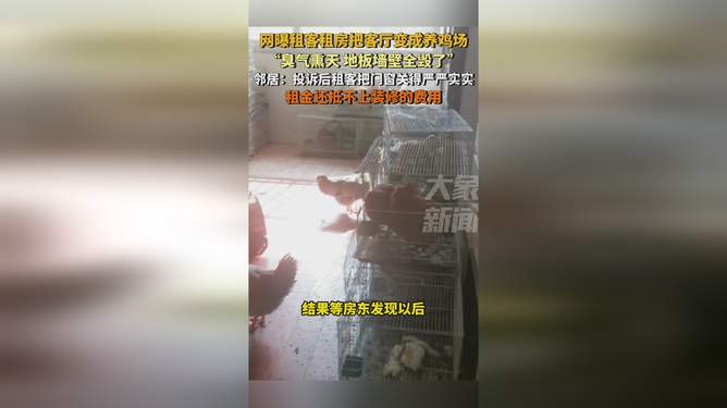 城市租客創(chuàng)意改造，客廳變養(yǎng)雞場(chǎng)，另類生活藝術(shù)展現(xiàn)