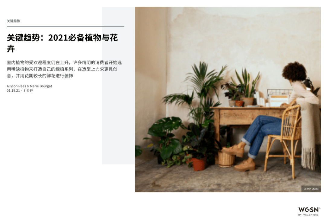 創(chuàng)意家居設(shè)計，自然靈感與綠色元素融合之美