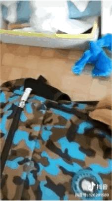 男子駕車沖撞小學(xué)生獲死緩，法律公正引發(fā)社會(huì)反思