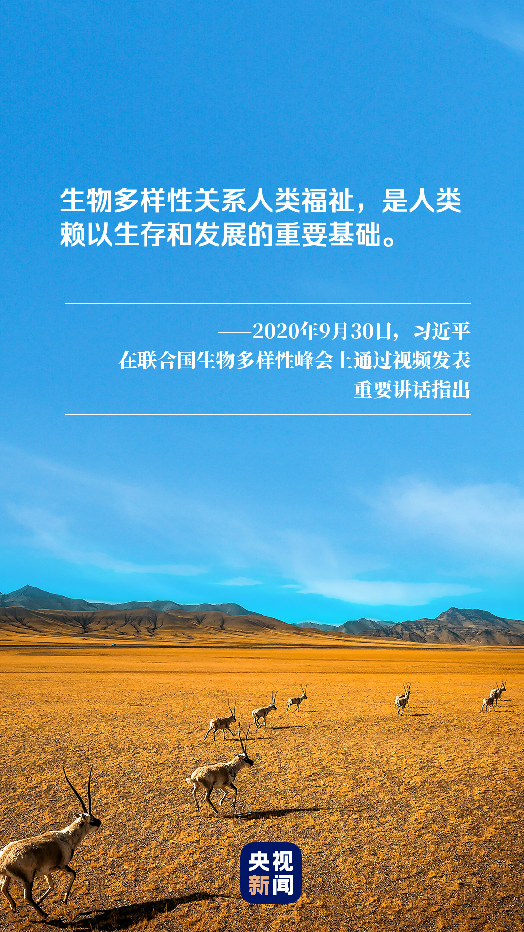 動手能力與探索精神共生，新時代人才的基石培養(yǎng)之道