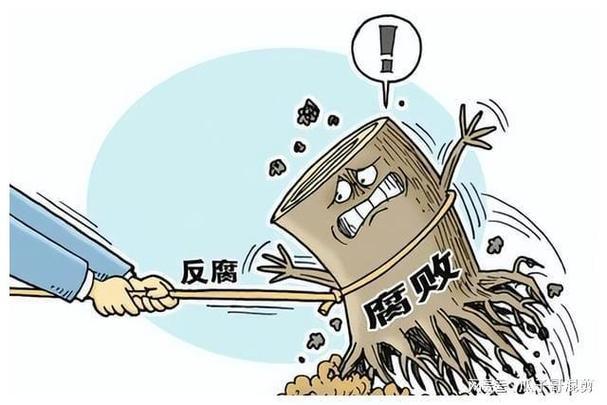 公共治理中的透明度與參與度，和諧社會構(gòu)建的關(guān)鍵基石