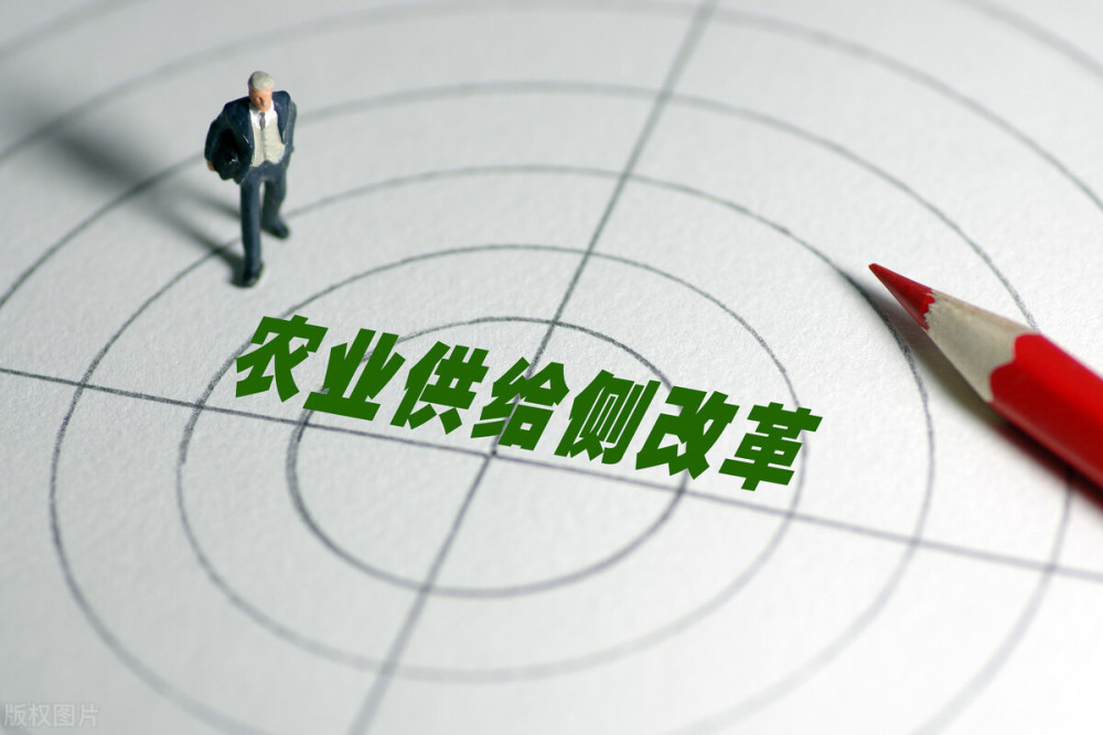 民眾責(zé)任感與社會(huì)發(fā)展的緊密關(guān)聯(lián)