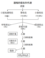 碧水青山 第5頁