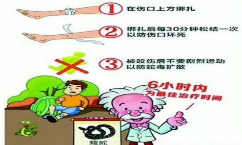 經(jīng)常走動(dòng)，促進(jìn)血液循環(huán)的良方