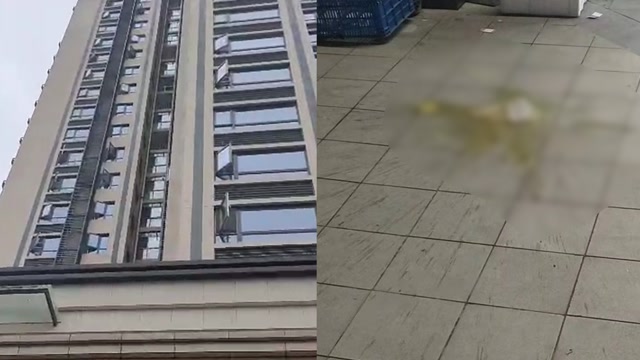 上海小區(qū)高空拋大便事件，探究背后的原因及解決方案