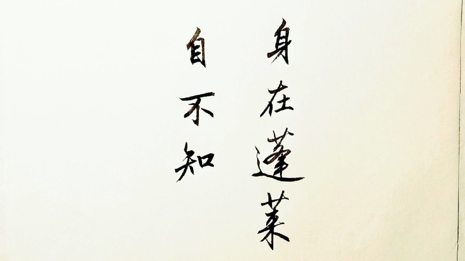 書法藝術(shù)中的情感傳達(dá)與美學(xué)展現(xiàn)