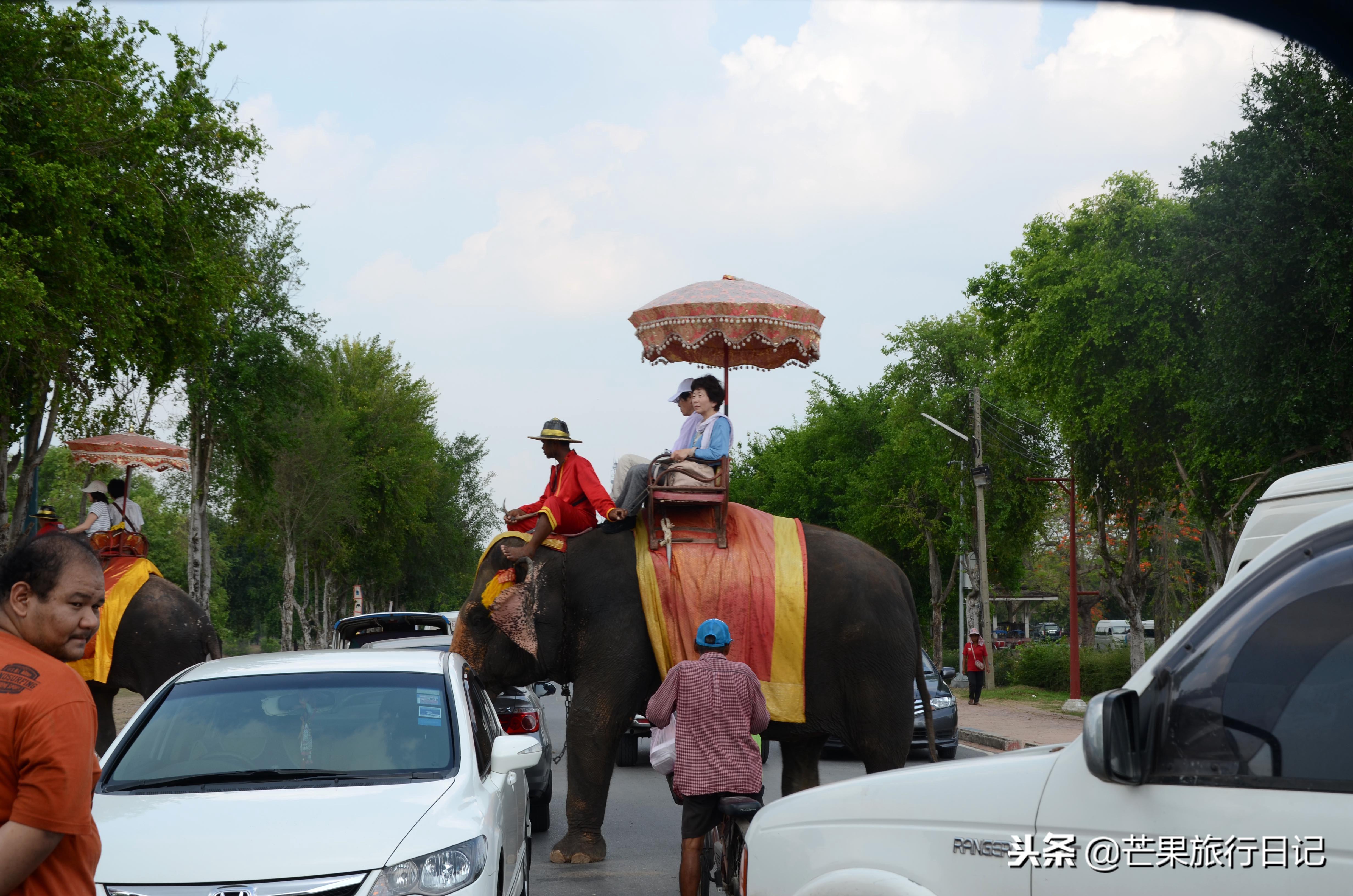 探訪全球獨特水上市場，領(lǐng)略異域風情之旅