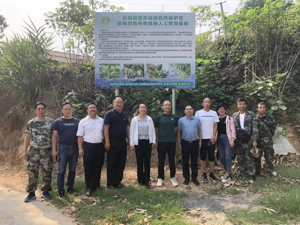 探訪全球最古老植物園，自然奇跡之旅揭秘