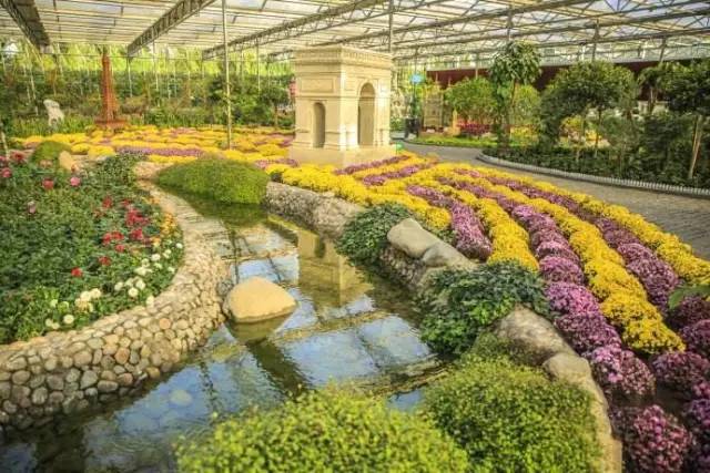 世界著名植物園之旅，多彩花卉的盛宴