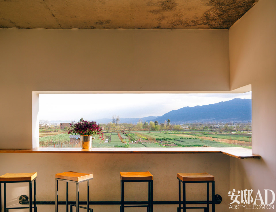 農(nóng)場到餐桌的食材之旅，綠色生活的味蕾盛宴