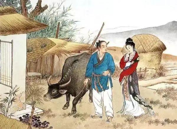 自給自足田園生活，品嘗自種食材的絕美滋味