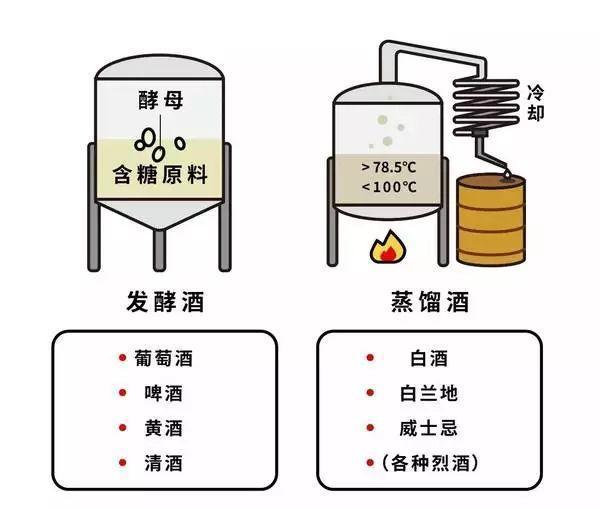 發(fā)酵技巧與原理，提升食物風味探索