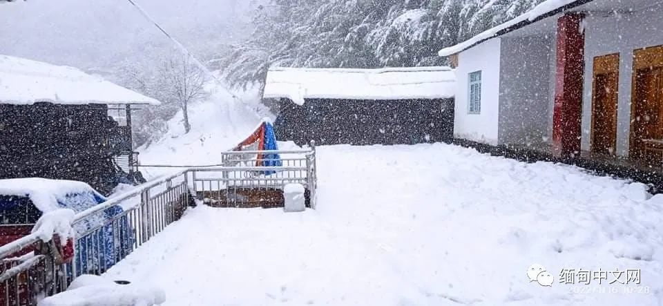 雪后公園足跡印記，探尋冬日自然之美